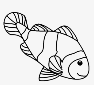 Fish Line Drawings - Clown Fish Clipart Black And White, HD Png Download, Free Download