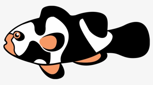 Picassoclownfish - Com, HD Png Download, Free Download