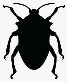 Beetle Png Download - Water Beetle Silhouette Png, Transparent Png, Free Download