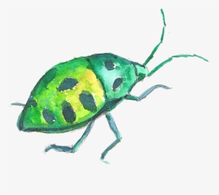 Volkswagen Beetle Watercolor Painting - Water Color Beetle Clipart, HD Png Download, Free Download