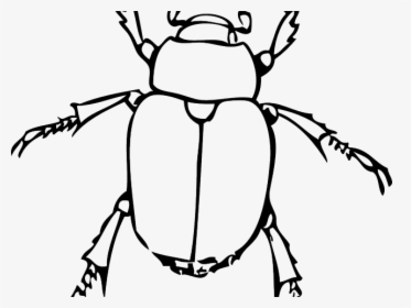 Insect Clipart Black And White - Dung Beetle Clipart, HD Png Download, Free Download