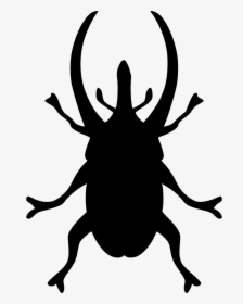 Beetle Nature - Silhouette Insect Clipart Black And White, HD Png Download, Free Download