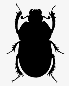 Beetle Clipart, HD Png Download, Free Download