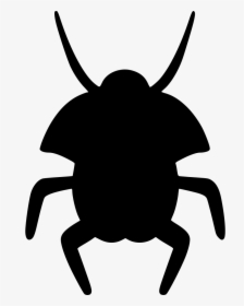 Beatle Beetle - Weevil, HD Png Download, Free Download
