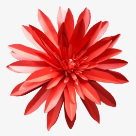 Dahlia, HD Png Download, Free Download