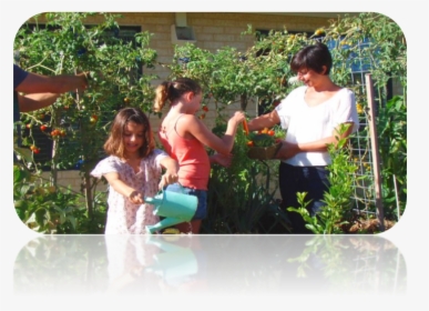 Family Planting Vegetables In The Garden, HD Png Download, Free Download