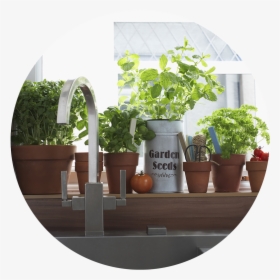 Toolboxgb Indoorgardening - Making A Indoor Classroom Garden, HD Png Download, Free Download