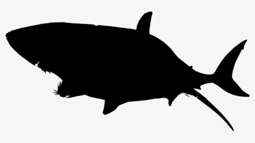 Transparent Shark Silhouette Png - Transparent Background Shark Png, Png Download, Free Download