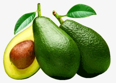 Avocado - Palta Zutano, HD Png Download, Free Download