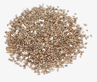 Download Chia Seeds Png Hd - Moldy Chia Seeds, Transparent Png, Free Download