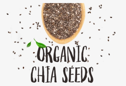 Organic Chia Seeds Text, HD Png Download, Free Download