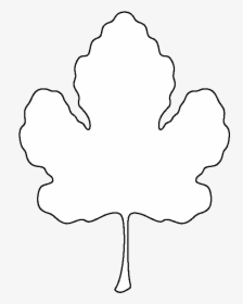 Leaf Outline Pumpkin Clipart Image Transparent Png - Line Art, Png Download, Free Download