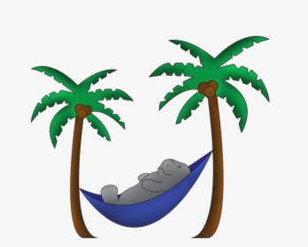 Manatee In A Hammock With 2 Palm Trees Made In Illustrator - Manatee In ...