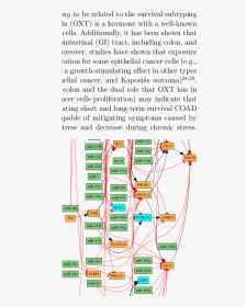 Diagram, HD Png Download, Free Download