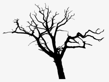Drawn Dead Tree Transparent Background - Transparent Background Tree Silhouette, HD Png Download, Free Download