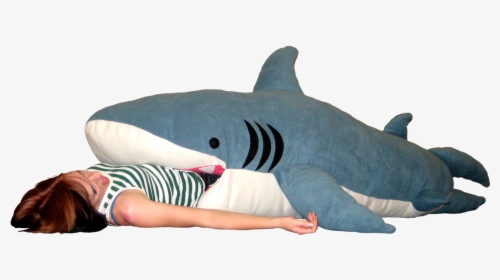 Shark Sleeping Bag, HD Png Download, Free Download