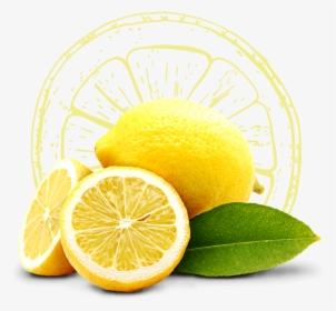 Drawing Lemon Peel - Zitrone, HD Png Download, Free Download