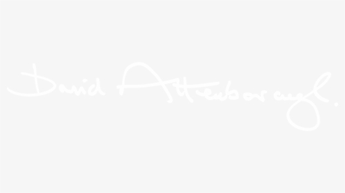 Johns Hopkins Logo White, HD Png Download, Free Download