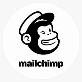 Mailchimp Add On For Pmpro - Mailchimp Logo Png, Transparent Png, Free Download