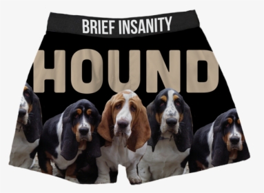 Basset Hound, HD Png Download, Free Download