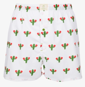 Boxing Cactus - Calzoncillos Estampados, HD Png Download, Free Download