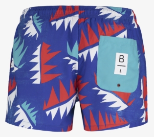 La Palmera Swim Shorts - Board Short, HD Png Download, Free Download