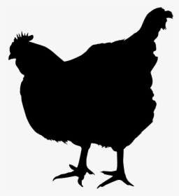 Chicken Royalty-free Stock Photography - Chicken Silhouette Transparent Background, HD Png Download, Free Download