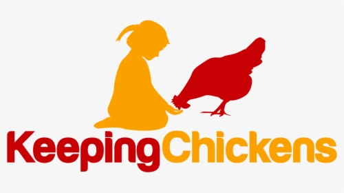 Raising And Keeping Chickens - Chicken, HD Png Download, Free Download