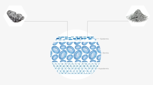 Circle, HD Png Download, Free Download