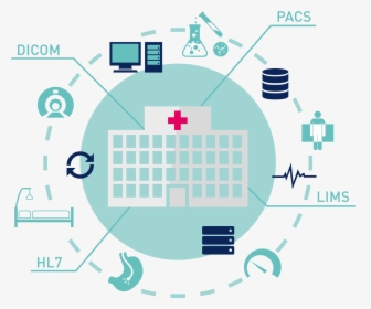 Iot In Healthcare Transparent, HD Png Download, Free Download