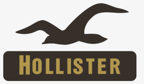 Hollister Co, HD Png Download, Free Download