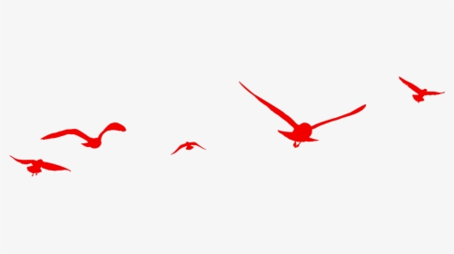 Red Birds Flying Png Download - Red Bird Silhouette Png, Transparent Png, Free Download
