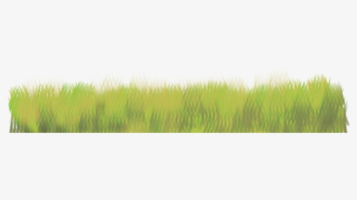#grass #texture #freetoedit - Sweet Grass, HD Png Download, Free Download