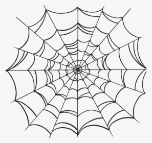 Spider Web Drawing - Spider Web Tattoo Drawings, HD Png Download, Free Download
