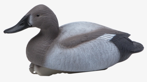 Mallard Goose Decoy Canvasback Duck - Greater Scaup, HD Png Download, Free Download