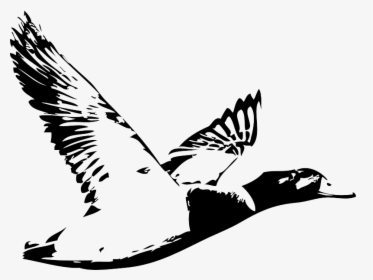 Duck Waterfowl Hunting Logo Water Bird - Duck Hunting Logo, HD Png Download, Free Download