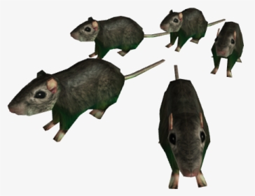 Horde Of Rats - Horde Of Rats Roblox, HD Png Download, Free Download