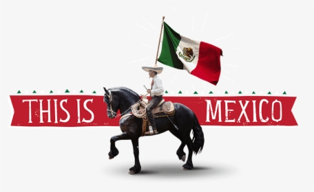 This Is Mexico - Mexico Flag With Horse, HD Png Download, Free Download