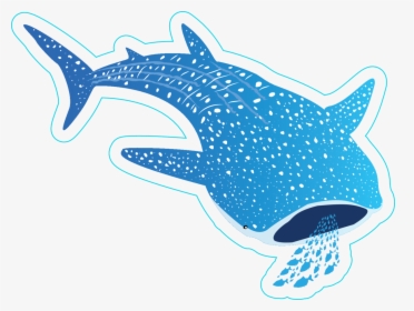 Transparent X Ray Fish Clipart - Whale Shark Sticker, HD Png Download, Free Download