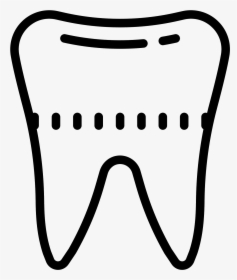 It Is An Image Of A Tooth - Icon, HD Png Download, Free Download