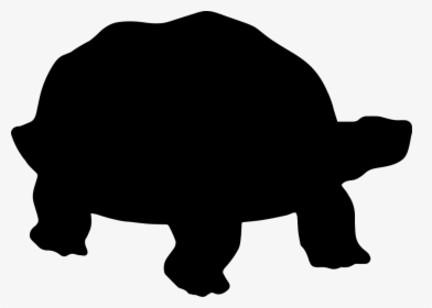 Turtle Silhouette - Tortoise Silhouette Png, Transparent Png, Free Download