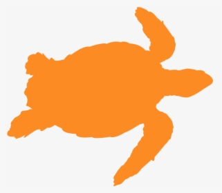 Yellow Turtle Outline, HD Png Download, Free Download