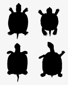 Transparent Turtle Silhouette Png - Silhouette Of Pet Turtle, Png Download, Free Download