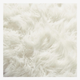 White Fur Rug Png, Transparent Png, Free Download