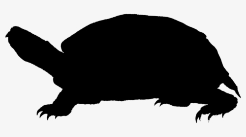 Turtle Silhouette - Silhouette, HD Png Download, Free Download