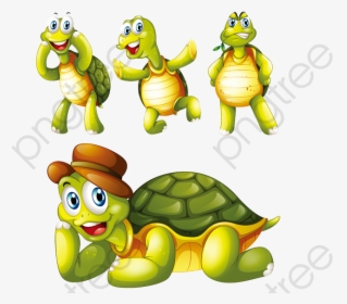 Transparent Turtle Clipart Png - Turtle Clipart, Png Download, Free Download