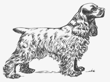 Cocker Spaniel Clipart Black And White, HD Png Download, Free Download