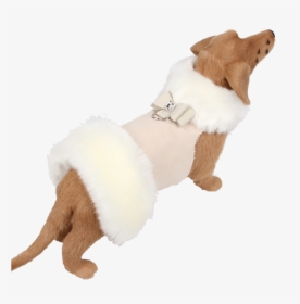 Fauxy Fur White And Ivory Coat With Big Bow - Companion Dog, HD Png Download, Free Download
