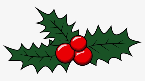 How To Draw Mistletoe, Christmas, Holidays, Easy Step - Drawings Of Mistletoe Small, HD Png Download, Free Download