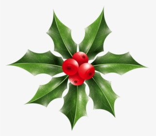 Christmas Holly Mistletoe Png - اوبرا ميني النسخة الروسية بالعربي Opera Mini, Transparent Png, Free Download